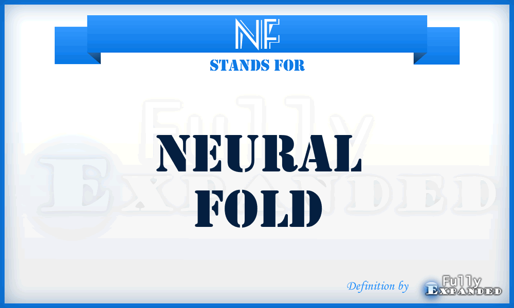 NF - neural fold