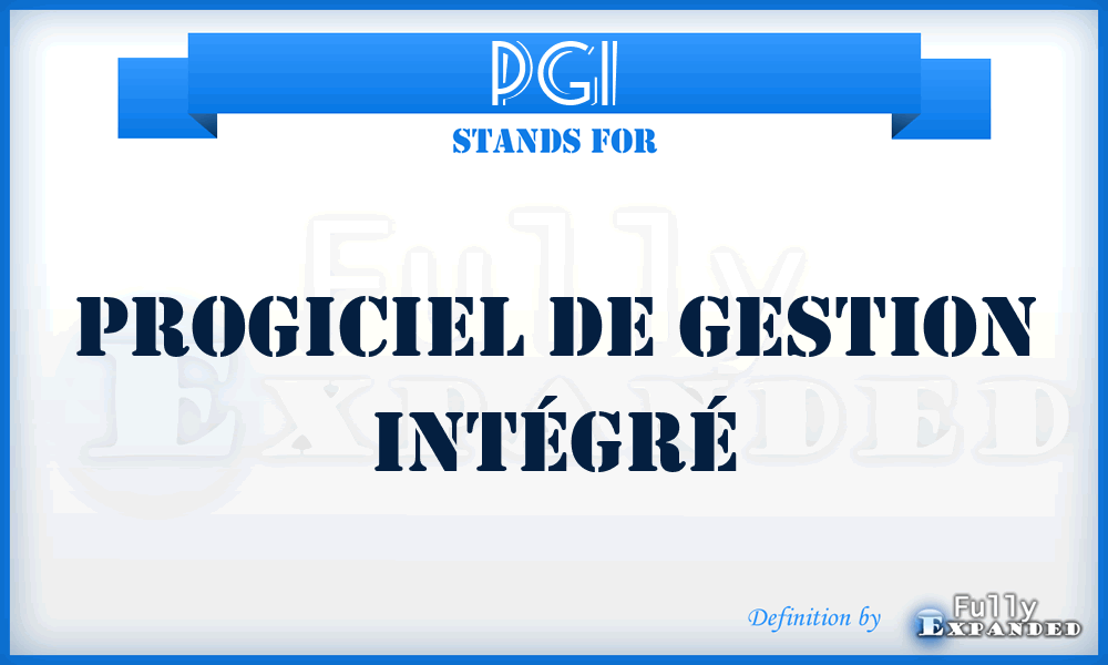 PGI - Progiciel de Gestion Intégré