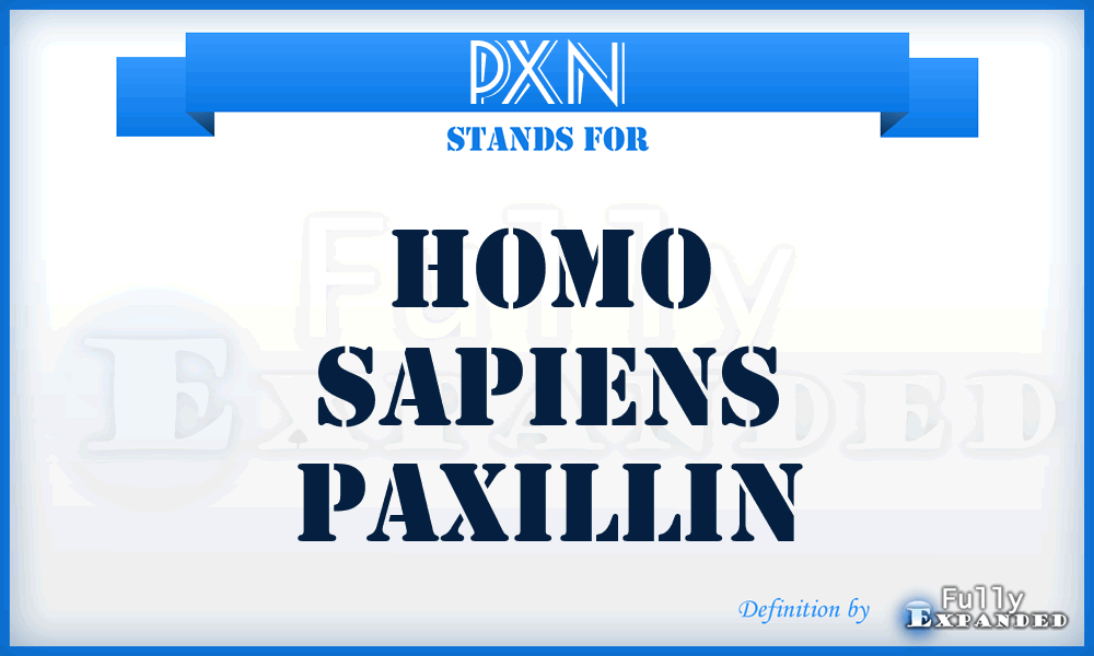 PXN - Homo Sapiens Paxillin